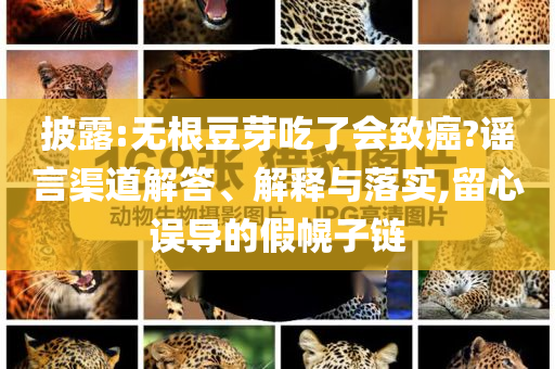 披露:无根豆芽吃了会致癌?谣言渠道解答、解释与落实,留心误导的假幌子链
