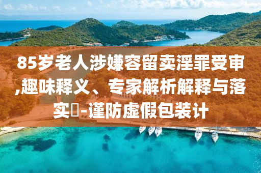 85岁老人涉嫌容留卖淫罪受审,趣味释义、专家解析解释与落实​-谨防虚假包装计