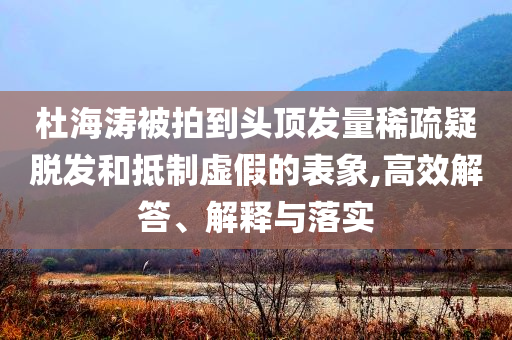 杜海涛被拍到头顶发量稀疏疑脱发和抵制虚假的表象,高效解答、解释与落实