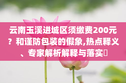 云南玉溪进城区须缴费200元？和谨防包装的假象,热点释义、专家解析解释与落实​