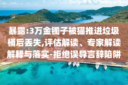暴露:3万金镯子被猫推进垃圾桶后丢失,评估解读、专家解读解释与落实-拒绝误导言辞陷阱