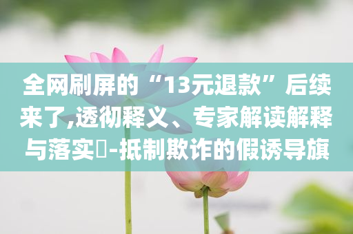 全网刷屏的“13元退款”后续来了,透彻释义、专家解读解释与落实​-抵制欺诈的假诱导旗