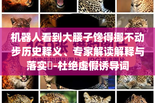 机器人看到大腰子馋得挪不动步历史释义、专家解读解释与落实​-杜绝虚假诱导词