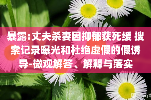 暴露:丈夫杀妻因抑郁获死缓 搜索记录曝光和杜绝虚假的假诱导-微观解答、解释与落实