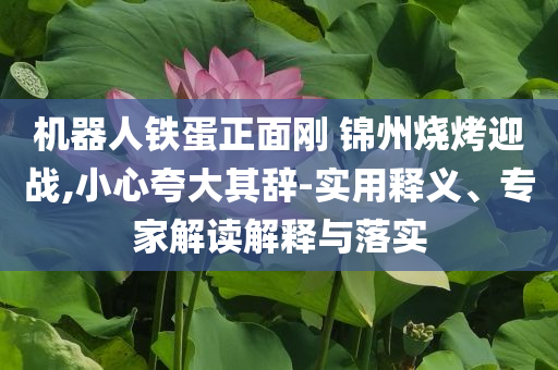 机器人铁蛋正面刚 锦州烧烤迎战,小心夸大其辞-实用释义、专家解读解释与落实