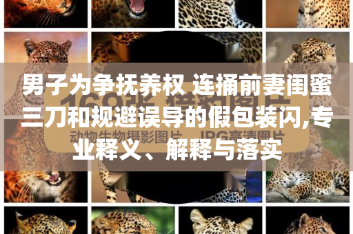 男子为争抚养权 连捅前妻闺蜜三刀和规避误导的假包装闪,专业释义、解释与落实