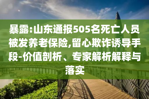 暴露:山东通报505名死亡人员被发养老保险,留心欺诈诱导手段-价值剖析、专家解析解释与落实
