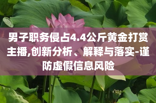男子职务侵占4.4公斤黄金打赏主播,创新分析、解释与落实-谨防虚假信息风险