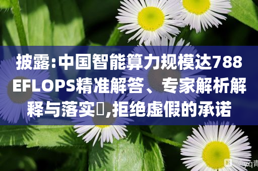 披露:中国智能算力规模达788EFLOPS精准解答、专家解析解释与落实​,拒绝虚假的承诺