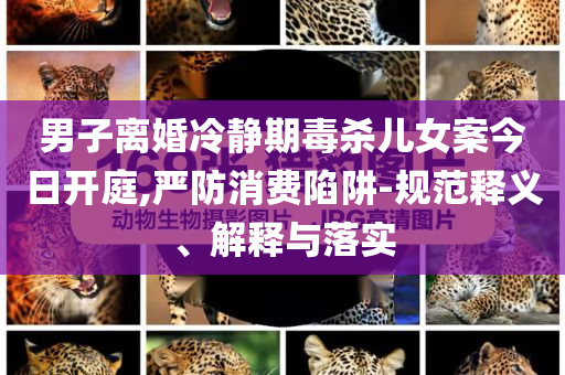 男子离婚冷静期毒杀儿女案今日开庭,严防消费陷阱-规范释义、解释与落实