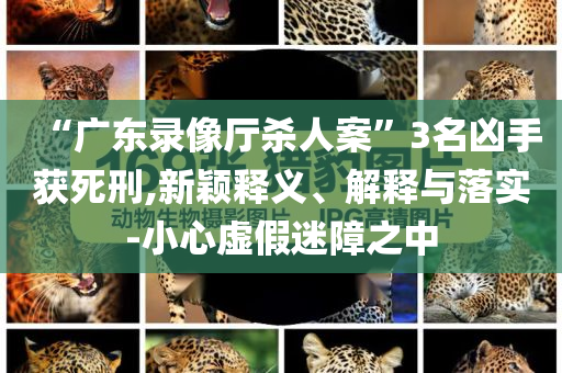 “广东录像厅杀人案”3名凶手获死刑,新颖释义、解释与落实-小心虚假迷障之中