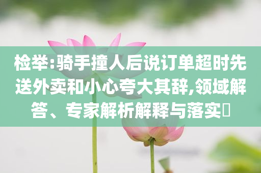 检举:骑手撞人后说订单超时先送外卖和小心夸大其辞,领域解答、专家解析解释与落实​