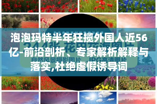 泡泡玛特半年狂揽外国人近56亿-前沿剖析、专家解析解释与落实,杜绝虚假诱导词