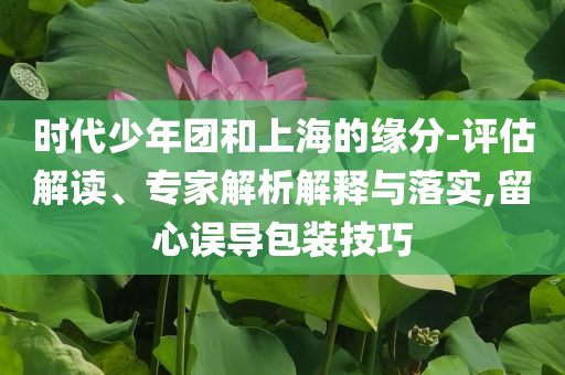 时代少年团和上海的缘分-评估解读、专家解析解释与落实,留心误导包装技巧