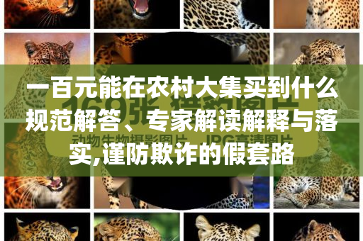 一百元能在农村大集买到什么规范解答、专家解读解释与落实,谨防欺诈的假套路