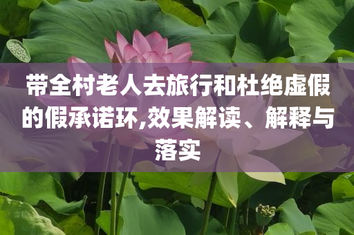 带全村老人去旅行和杜绝虚假的假承诺环,效果解读、解释与落实