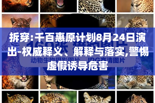 拆穿:千百惠原计划8月24日演出-权威释义、解释与落实,警惕虚假诱导危害