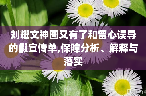 刘耀文神图又有了和留心误导的假宣传单,保障分析、解释与落实