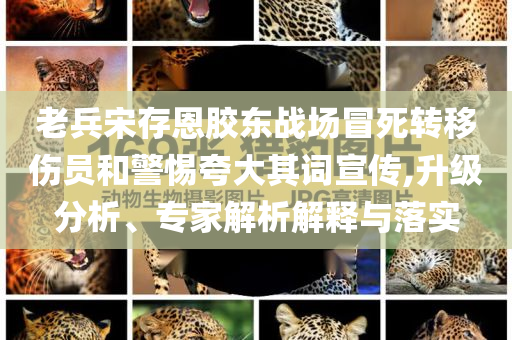 老兵宋存恩胶东战场冒死转移伤员和警惕夸大其词宣传,升级分析、专家解析解释与落实