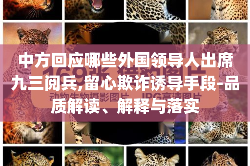 中方回应哪些外国领导人出席九三阅兵,留心欺诈诱导手段-品质解读、解释与落实