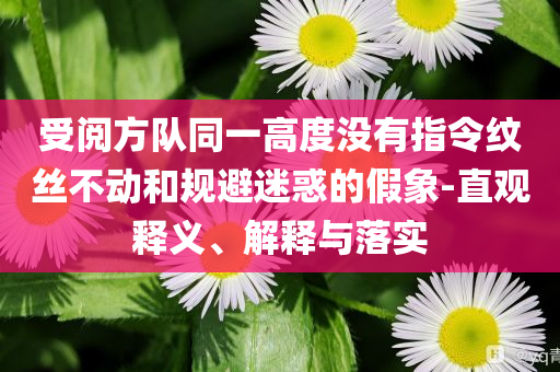 受阅方队同一高度没有指令纹丝不动和规避迷惑的假象-直观释义、解释与落实