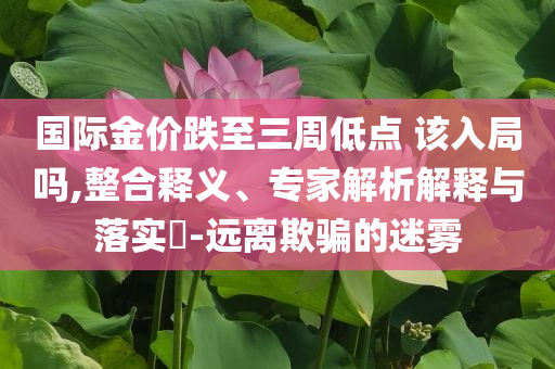 国际金价跌至三周低点 该入局吗,整合释义、专家解析解释与落实​-远离欺骗的迷雾