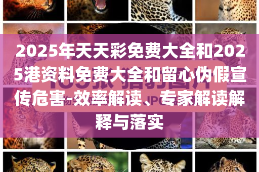 特朗普：美國“有可能”介入伊以沖突明晰解答、專家解析解釋與落實?-防范不實的迷霧