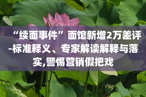 “续面事件”面馆新增2万差评-标准释义、专家解读解释与落实,警惕营销假把戏