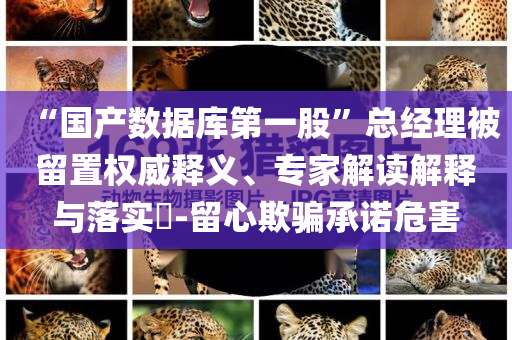 “国产数据库第一股”总经理被留置权威释义、专家解读解释与落实​-留心欺骗承诺危害