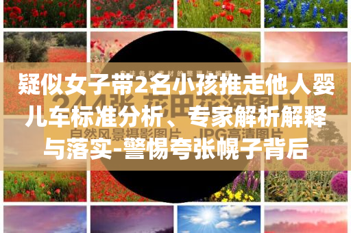 疑似女子带2名小孩推走他人婴儿车标准分析、专家解析解释与落实-警惕夸张幌子背后