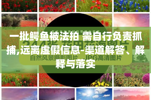 一批鳄鱼被法拍 需自行负责抓捕,远离虚假信息-渠道解答、解释与落实