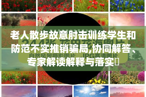 老人散步故意肘击训练学生和防范不实推销骗局,协同解答、专家解读解释与落实​