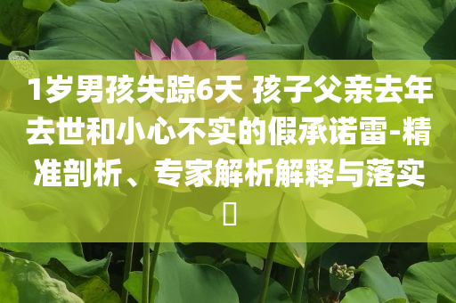 1岁男孩失踪6天 孩子父亲去年去世和小心不实的假承诺雷-精准剖析、专家解析解释与落实​