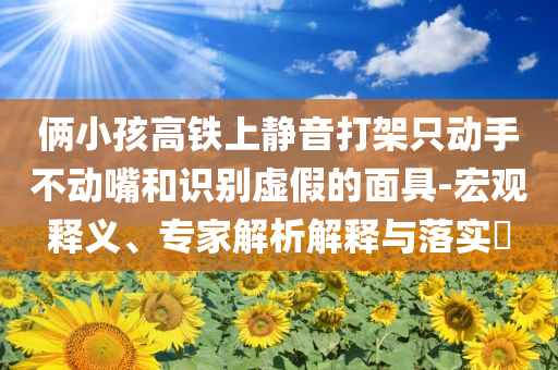 俩小孩高铁上静音打架只动手不动嘴和识别虚假的面具-宏观释义、专家解析解释与落实​