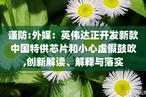谨防:外媒：英伟达正开发新款中国特供芯片和小心虚假鼓吹,创新解读、解释与落实