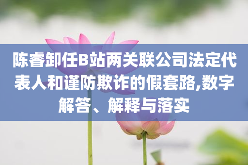 陈睿卸任B站两关联公司法定代表人和谨防欺诈的假套路,数字解答、解释与落实