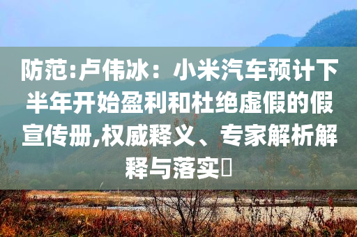 防范:卢伟冰：小米汽车预计下半年开始盈利和杜绝虚假的假宣传册,权威释义、专家解析解释与落实​