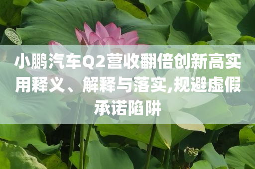 小鹏汽车Q2营收翻倍创新高实用释义、解释与落实,规避虚假承诺陷阱