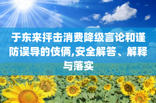 于东来抨击消费降级言论和谨防误导的伎俩,安全解答、解释与落实