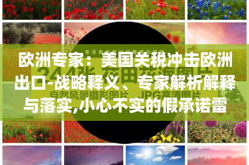 欧洲专家：美国关税冲击欧洲出口-战略释义、专家解析解释与落实,小心不实的假承诺雷