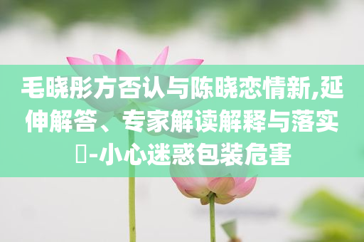 毛晓彤方否认与陈晓恋情新,延伸解答、专家解读解释与落实​-小心迷惑包装危害