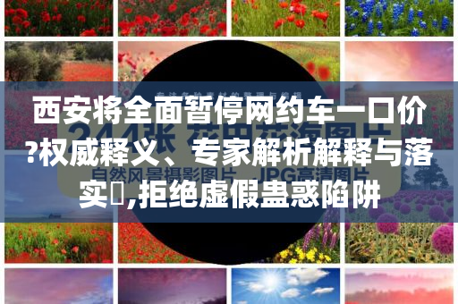 西安将全面暂停网约车一口价?权威释义、专家解析解释与落实​,拒绝虚假蛊惑陷阱