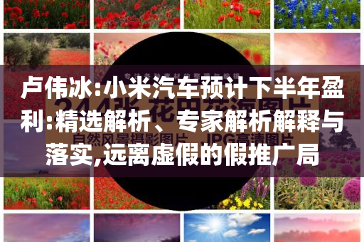 卢伟冰:小米汽车预计下半年盈利:精选解析、专家解析解释与落实,远离虚假的假推广局