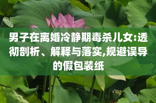 男子在离婚冷静期毒杀儿女:透彻剖析、解释与落实,规避误导的假包装纸