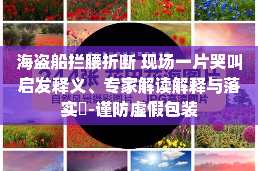 海盗船拦腰折断 现场一片哭叫启发释义、专家解读解释与落实​-谨防虚假包装