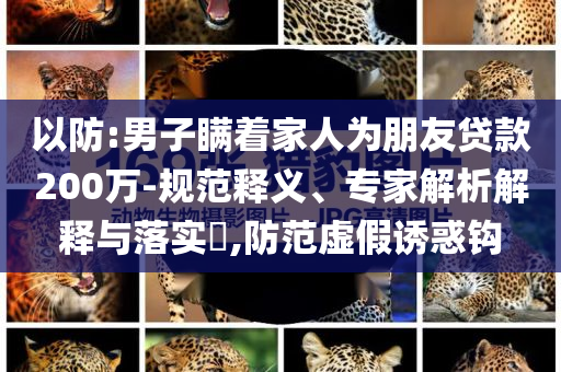 以防:男子瞒着家人为朋友贷款200万-规范释义、专家解析解释与落实​,防范虚假诱惑钩