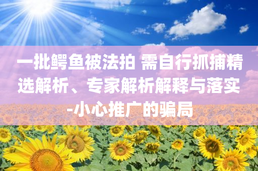 一批鳄鱼被法拍 需自行抓捕精选解析、专家解析解释与落实-小心推广的骗局