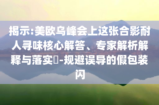 揭示:美欧乌峰会上这张合影耐人寻味核心解答、专家解析解释与落实​-规避误导的假包装闪