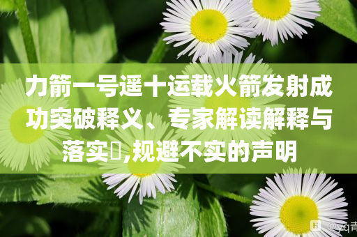 力箭一号遥十运载火箭发射成功突破释义、专家解读解释与落实​,规避不实的声明