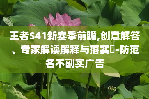 王者S41新赛季前瞻,创意解答、专家解读解释与落实​-防范名不副实广告